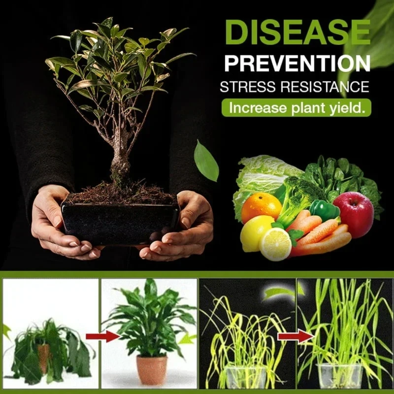 Rooting Plant Flower Activated Mineral Source Prevent Soil Activators Fertilizers Soil Treasure Activators for Garden P15F thumbnail 2