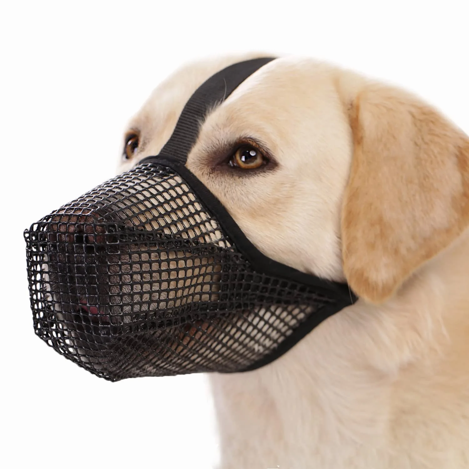 Dog Muzzle, Soft Mesh Covered Muzzles  Poisoned Bait Protection With Adjustable Straps, Prevent Biting Chewing And Licking thumbnail 3