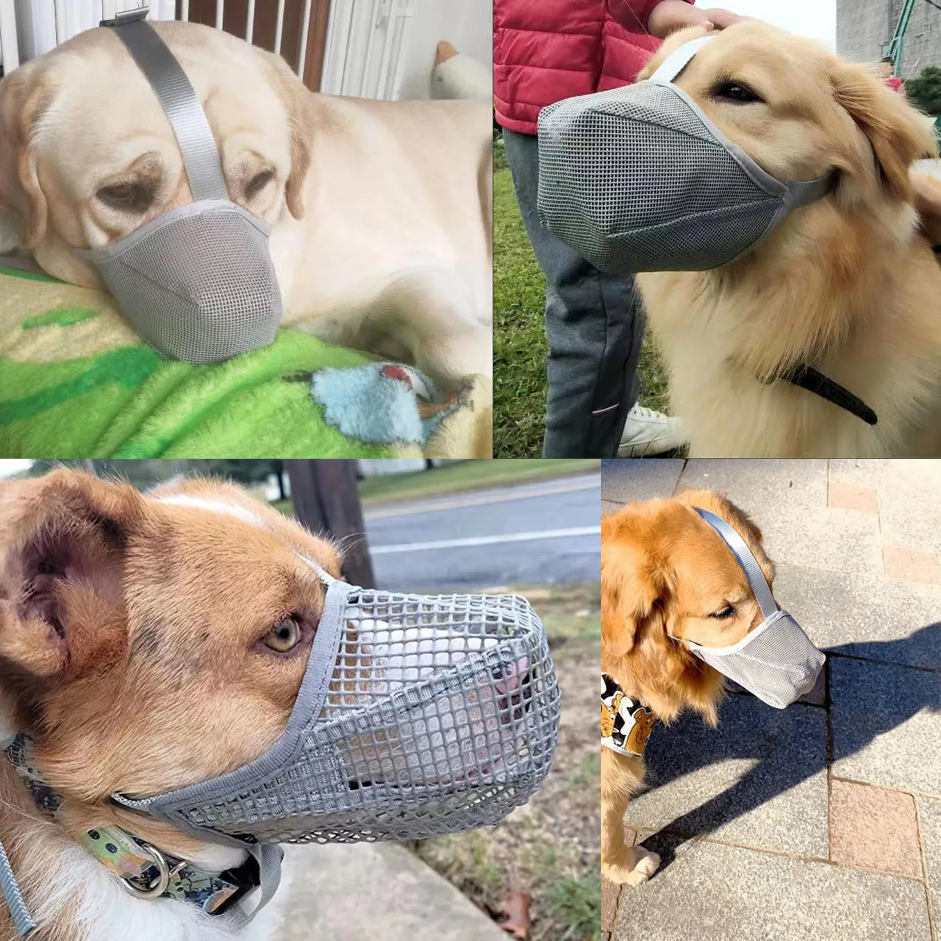 Dog Muzzle, Soft Mesh Covered Muzzles  Poisoned Bait Protection With Adjustable Straps, Prevent Biting Chewing And Licking thumbnail 5
