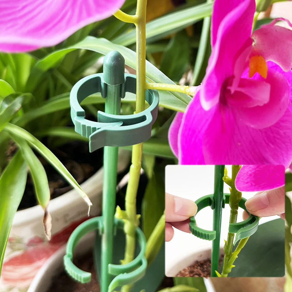 90/60/30cm Plant Support Stakes Adjustab Garden Single Stem Flower Stand Plant Stick Support Potted  for Plants Floral Vegetable thumbnail 2