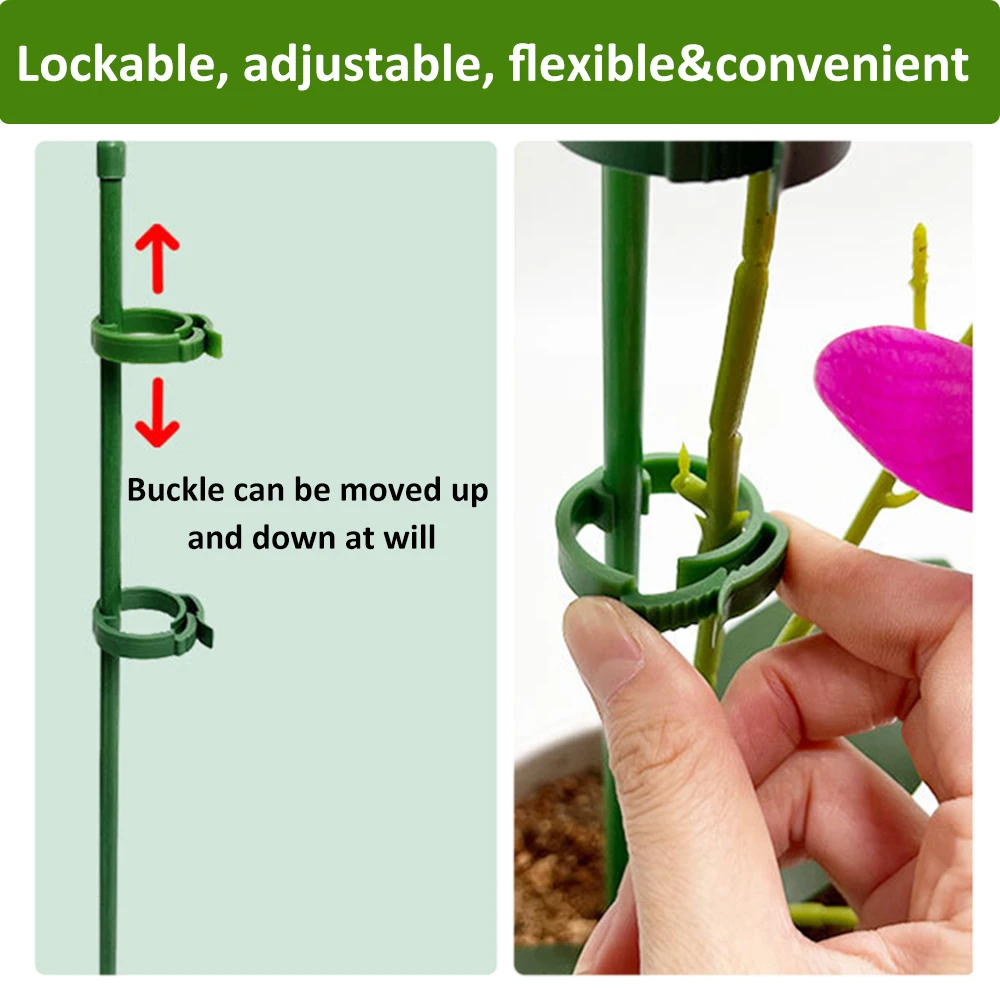 90/60/30cm Plant Support Stakes Adjustab Garden Single Stem Flower Stand Plant Stick Support Potted  for Plants Floral Vegetable thumbnail 3