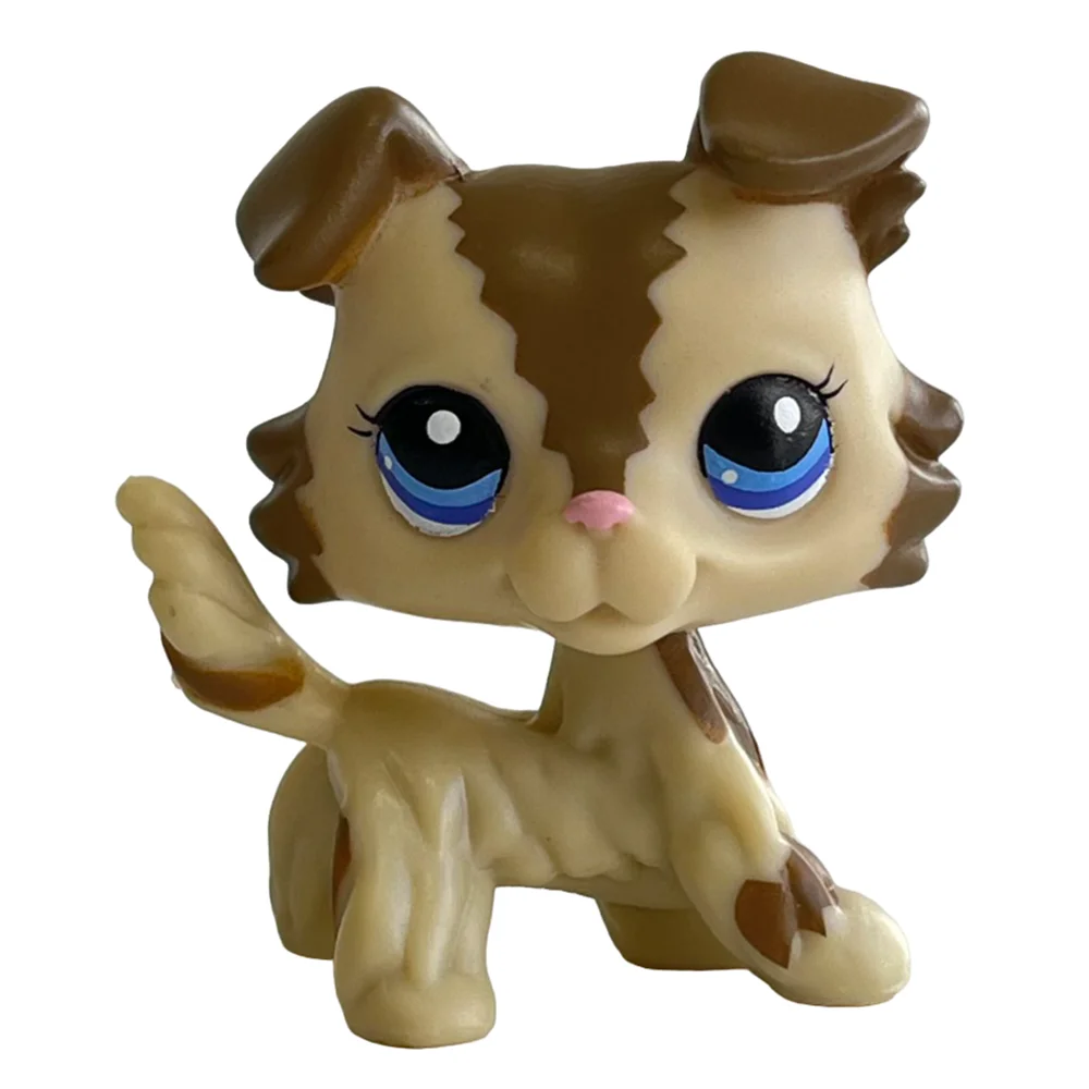 Rare pet toy Stands Short Hair Kitten Dog Dachshund Collie Spaniel Great Dane Original Bobble head toy lps thumbnail 6
