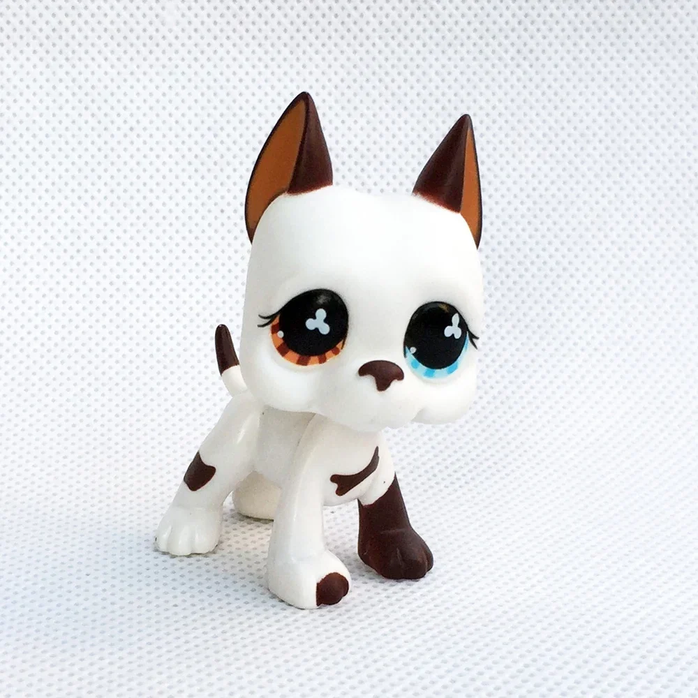 Rare pet toy Stands Short Hair Kitten Dog Dachshund Collie Spaniel Great Dane Original Bobble head toy lps thumbnail 5