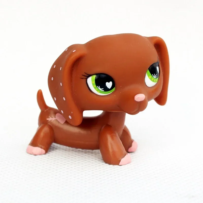 Rare pet toy Stands Short Hair Kitten Dog Dachshund Collie Spaniel Great Dane Original Bobble head toy lps thumbnail 4