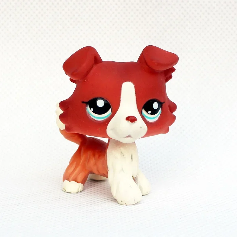 Rare pet toy Stands Short Hair Kitten Dog Dachshund Collie Spaniel Great Dane Original Bobble head toy lps thumbnail 3