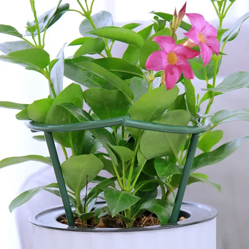 2/6Pcs Plant Support Pile Stand Semicircle Frame Fixed Rod Holder Gardening Arrangement Flower Vine Climbing Bracket Bonsai Tool thumbnail 3
