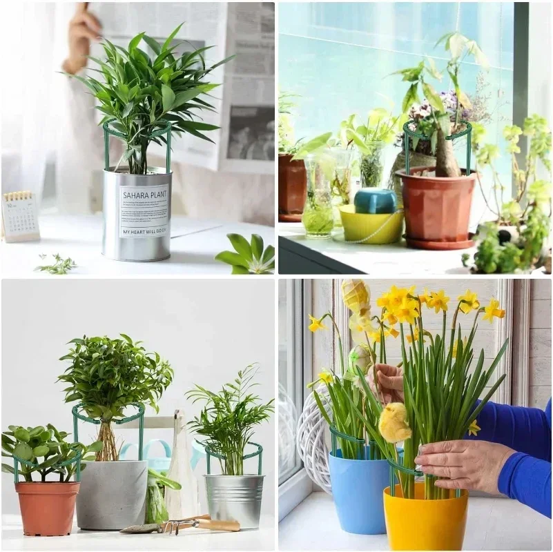 2/6Pcs Plant Support Pile Stand Semicircle Frame Fixed Rod Holder Gardening Arrangement Flower Vine Climbing Bracket Bonsai Tool thumbnail 5