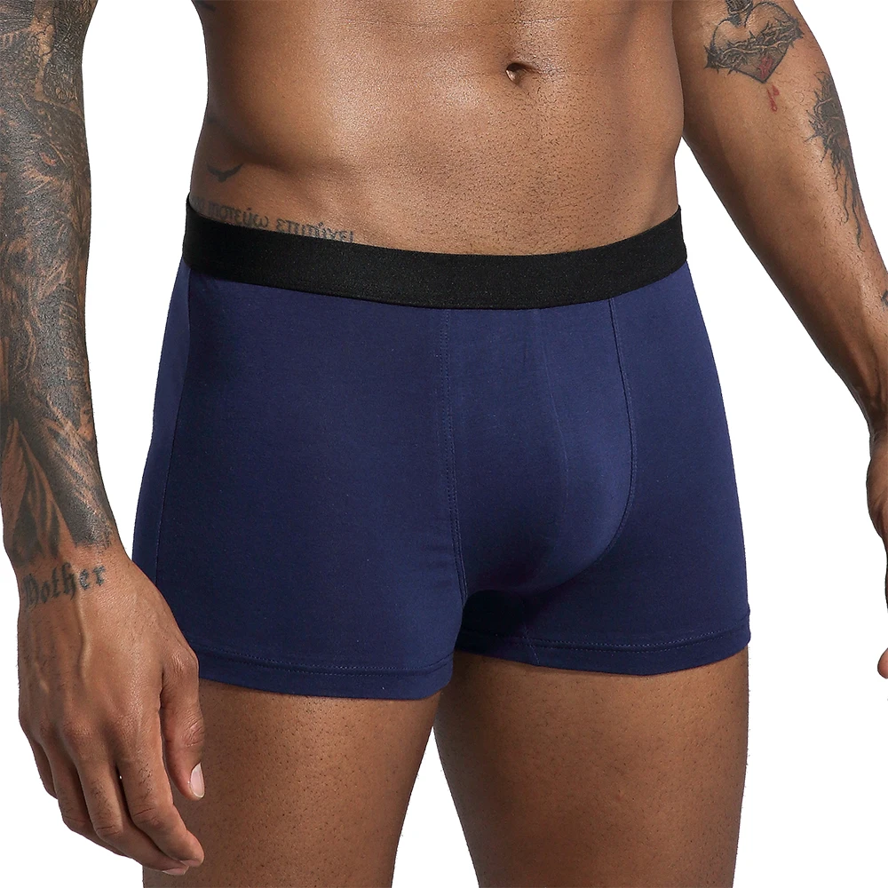 6pcs Pack 2024 Men Panties Cotton Underwear Male Brand Boxer And Underpants For Homme Luxury Set Shorts Box Slip Kit thumbnail 5