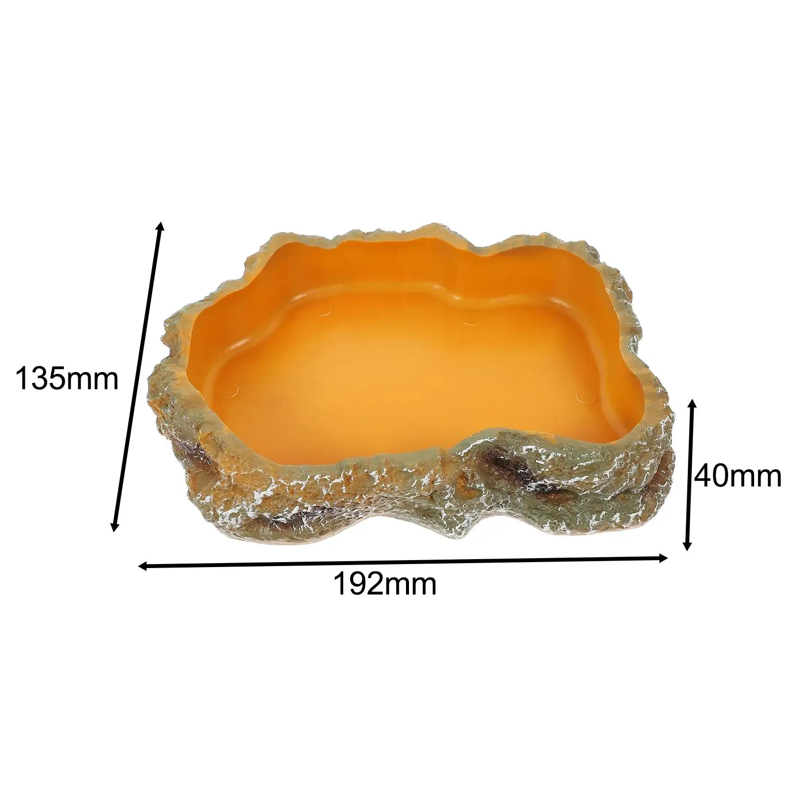 Reptile Water Bowls Terrarium Plate Reptile Feeder Amphibian Feeding Bowl for Frog Chameleon Tortoise Bearded Dragon Turtle thumbnail 6