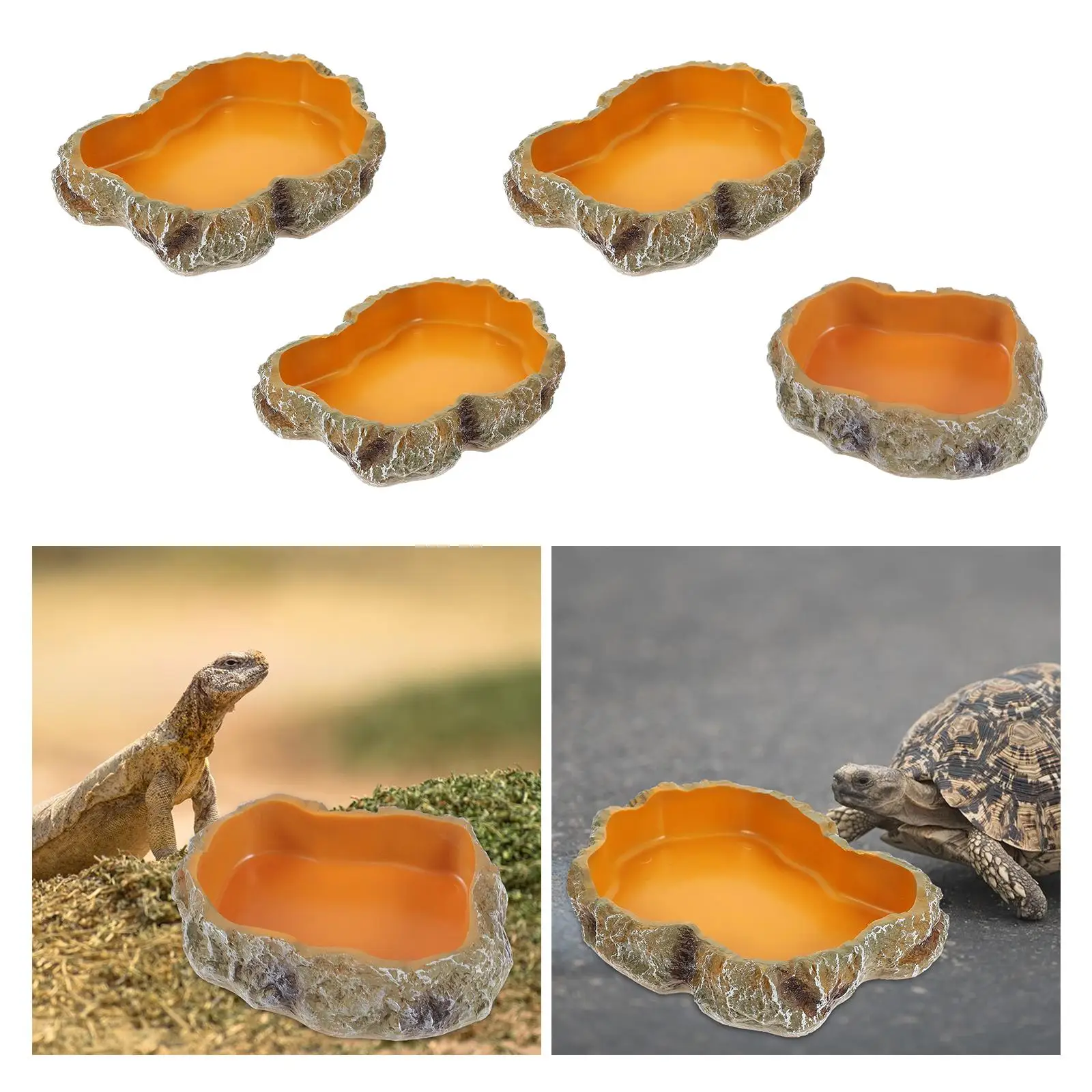Reptile Water Bowls Terrarium Plate Reptile Feeder Amphibian Feeding Bowl for Frog Chameleon Tortoise Bearded Dragon Turtle thumbnail 4