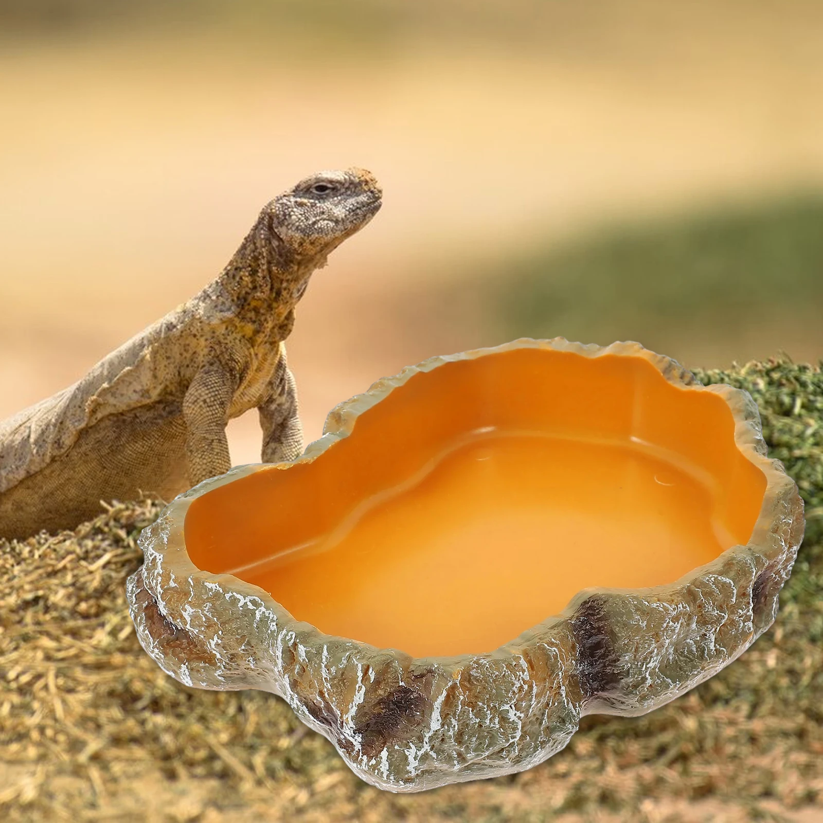 Reptile Water Bowls Terrarium Plate Reptile Feeder Amphibian Feeding Bowl for Frog Chameleon Tortoise Bearded Dragon Turtle thumbnail 2