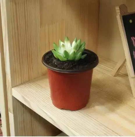 Flowerpot Plastic Grow Box Fall Resistant Tray For Home Garden Plants Nursery Cup Transplant Flower Plant Pots D4 thumbnail 6