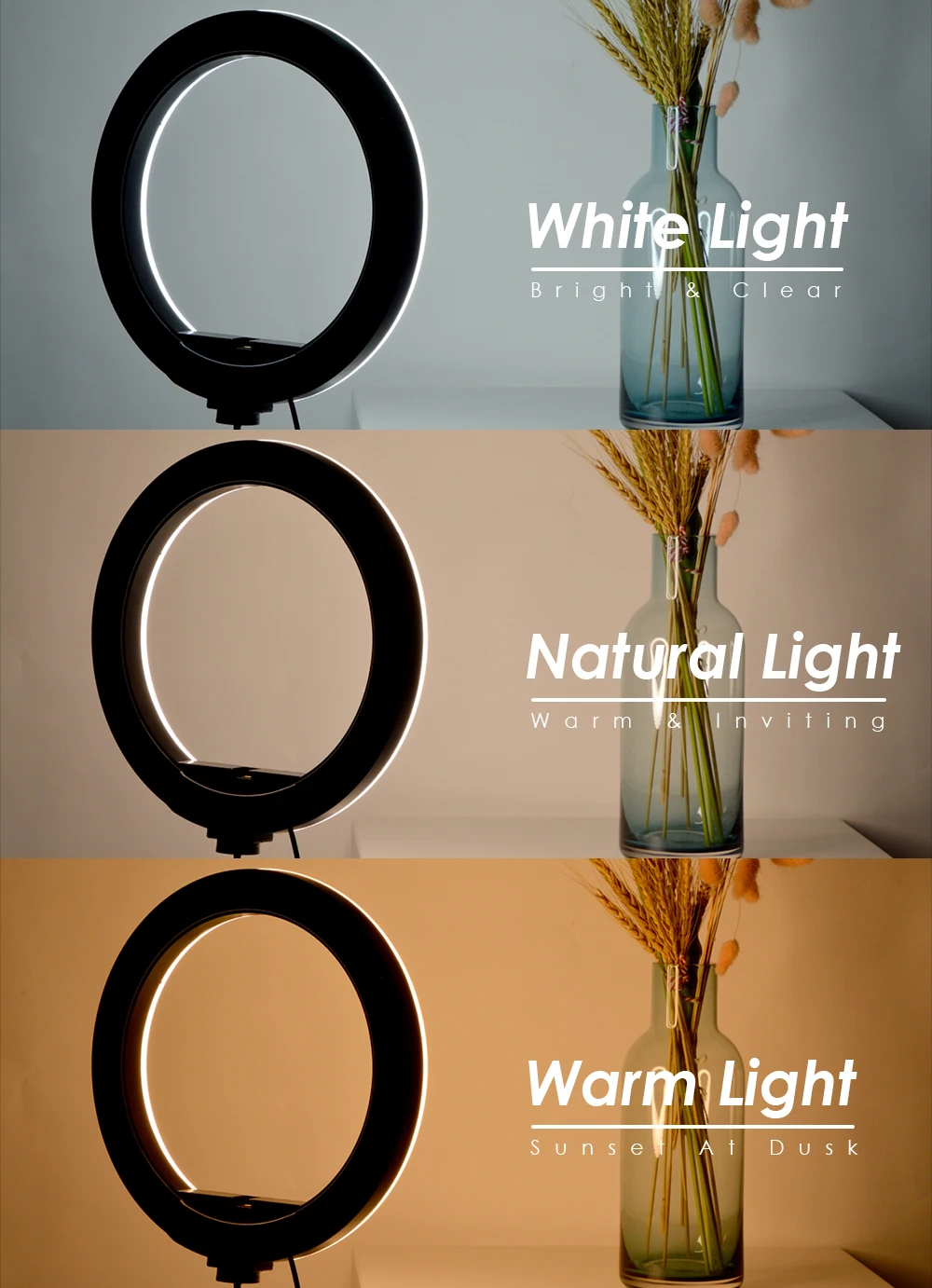 Tripod With LED Ring Light For Phone Tripod Camera Stand Selfie Photography Light LED Lamp Color Photo Studio For YouTube Live thumbnail 2