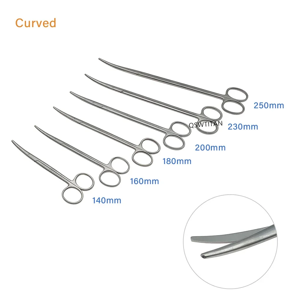 Medical Stainless Steel Surgical Scissors Straight curved Blunt Tip Dental Scissors cosmetic plastic surgery instrument thumbnail 3