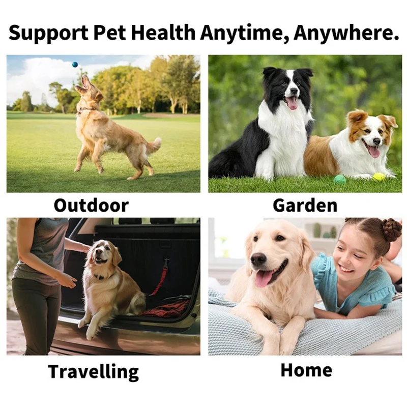 Pet cleaning products Disposable finger toothbrush Pet teeth cleaning finger covers wet wipes  Dog and cat oral cleaning thumbnail 6