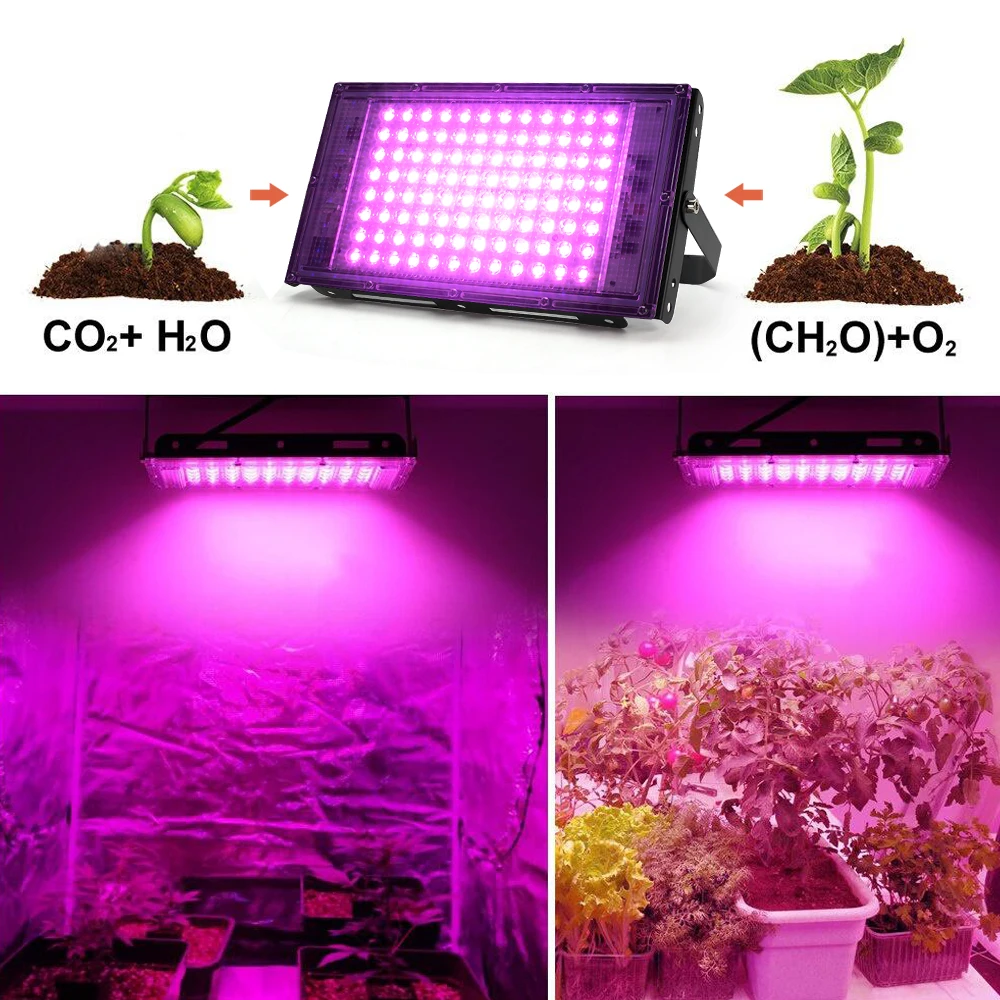 LED Grow Light 50W 100W 150W 220V Full Spectrum Phyto Lamp For Plant Outdoor Indoor Hydroponics Greenhouse Seeds Growth Lighting thumbnail 3