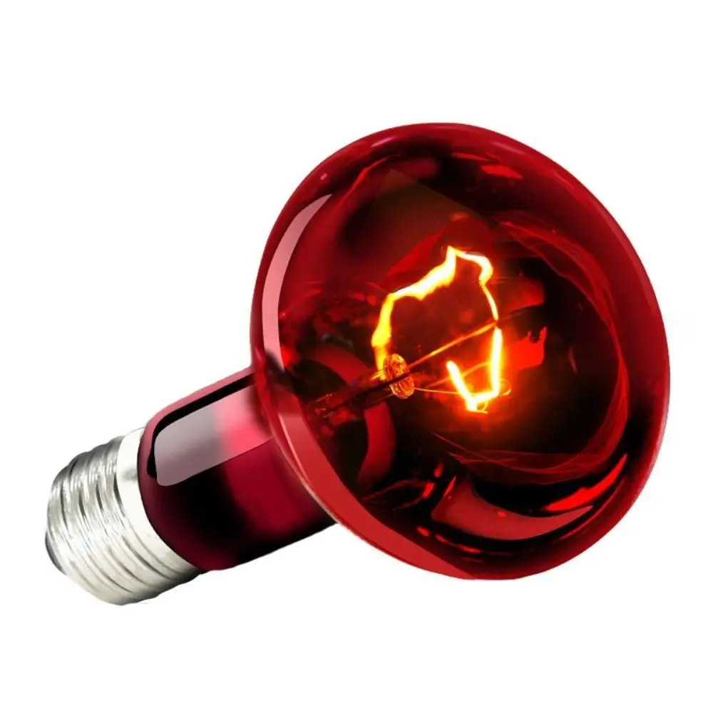 Infrared Led Pet Heating Lamp Durable UVA Adjustable Reptile Heat Bulb 4 Kinds 25W/50W/75W/100W UVA Day Night Bulb Reptiles thumbnail 6