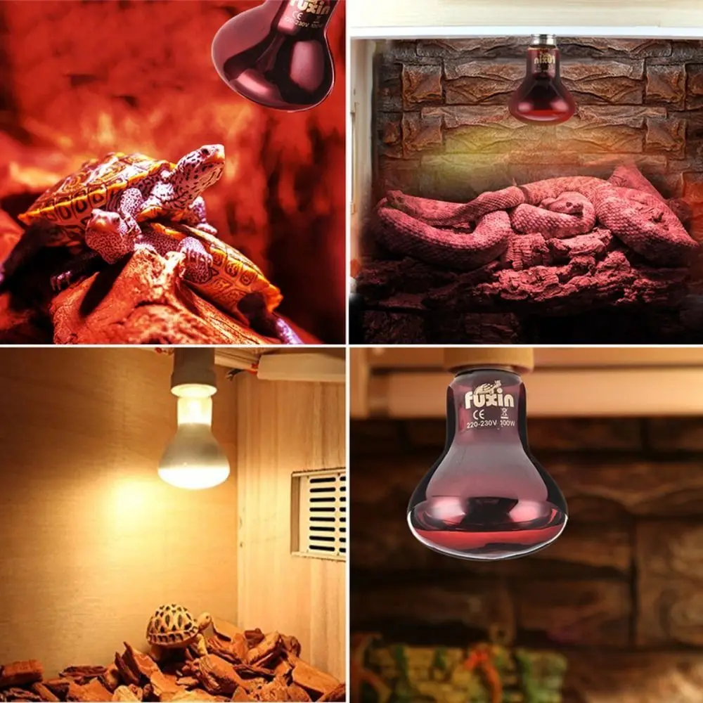 Infrared Led Pet Heating Lamp Durable UVA Adjustable Reptile Heat Bulb 4 Kinds 25W/50W/75W/100W UVA Day Night Bulb Reptiles thumbnail 3