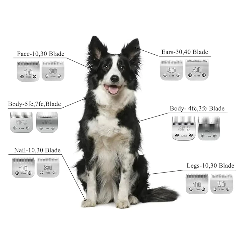 3F,4F,5F,7F,9#,10#,30#,40#,50# Detachable Pets Dogs Clipper Blade For Most Andis AG,AGC & BDC,Oster A5,Wahl KM Animals Clippers thumbnail 2