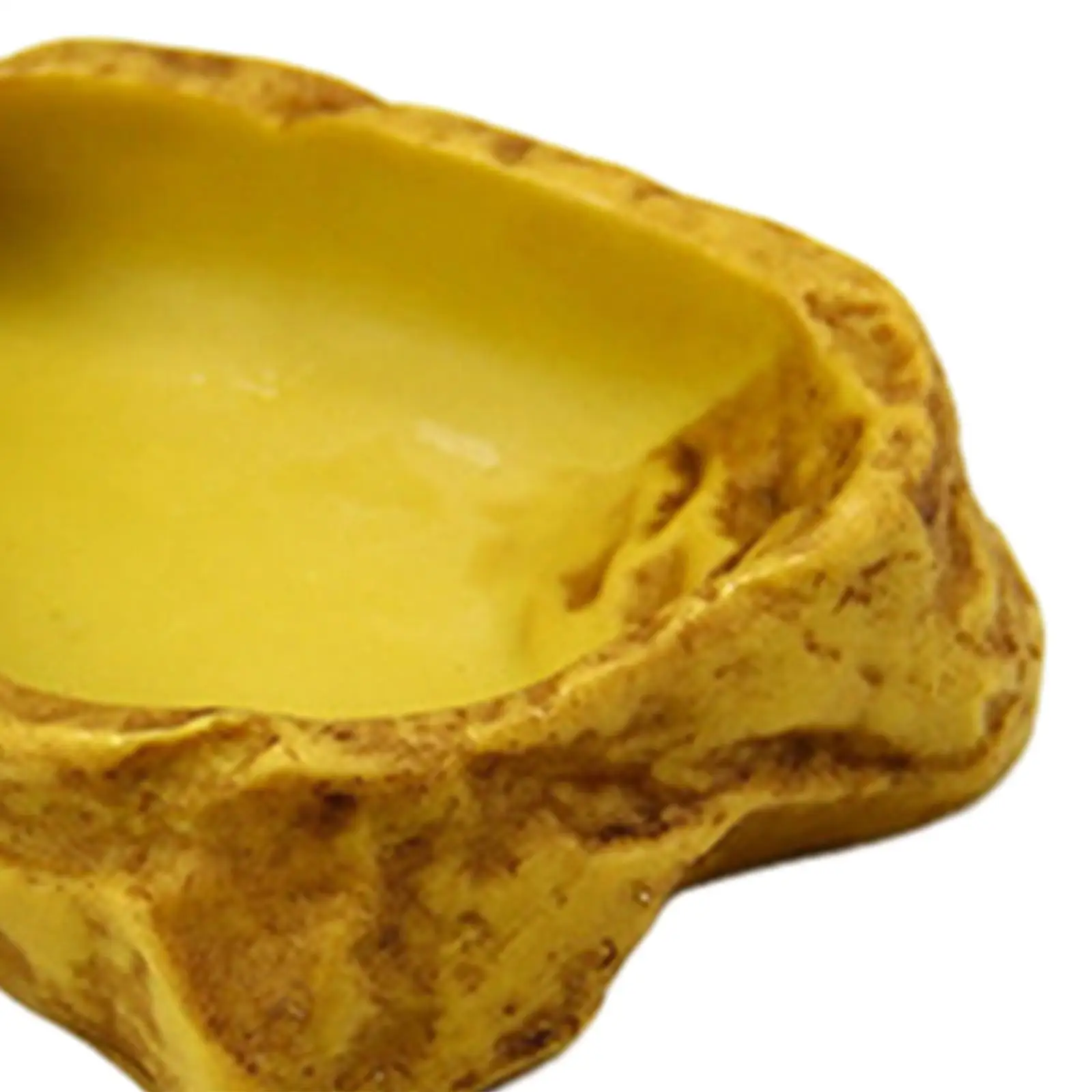 Reptile Water Bowl Terrarium Water Dish Reptile Food Dish Feeding Bowl for Frog Bearded Dragon Tortoise Turtle Leopard Gecko thumbnail 5
