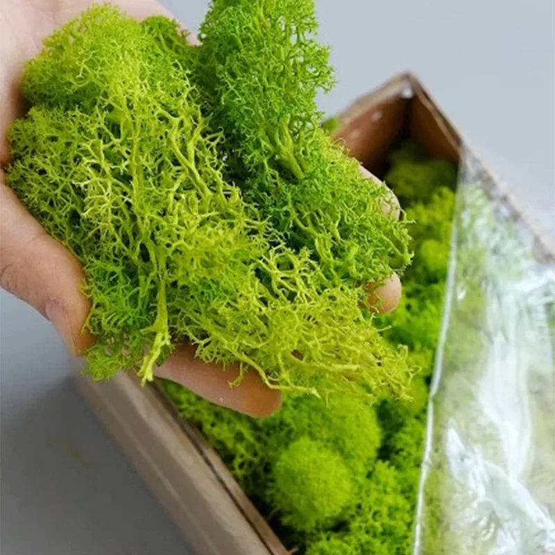 20/40/100g Eternal Life Moss DIY Crafts Grass Artificial Green Plants  Home Room Garden Decor Mini Landscape Fake Grass Bonsai thumbnail 4
