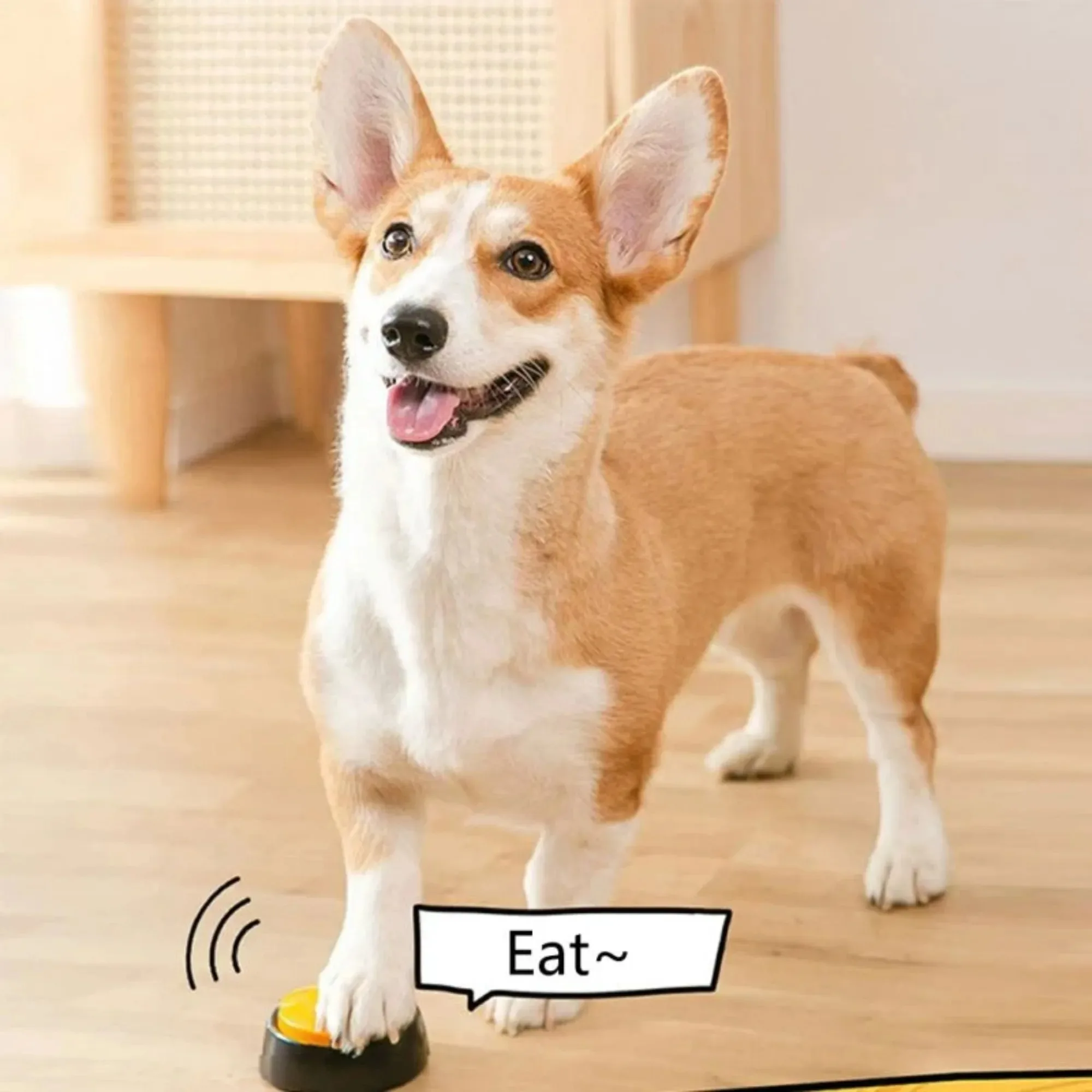 Dog Communication Buttons Voice Recording Button for Pet Training Buzzer 30 Second Record Playback Funny Gift for Talking Pet thumbnail 3