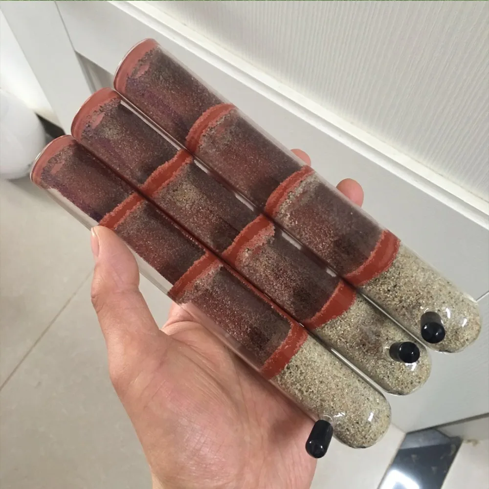 Various Sizes Ant Farm House Bamboo Test Tube Ant Nest Plaster Tube for Ant House Gypsum Pet Anthill Workshop Villa Queen Home thumbnail 6