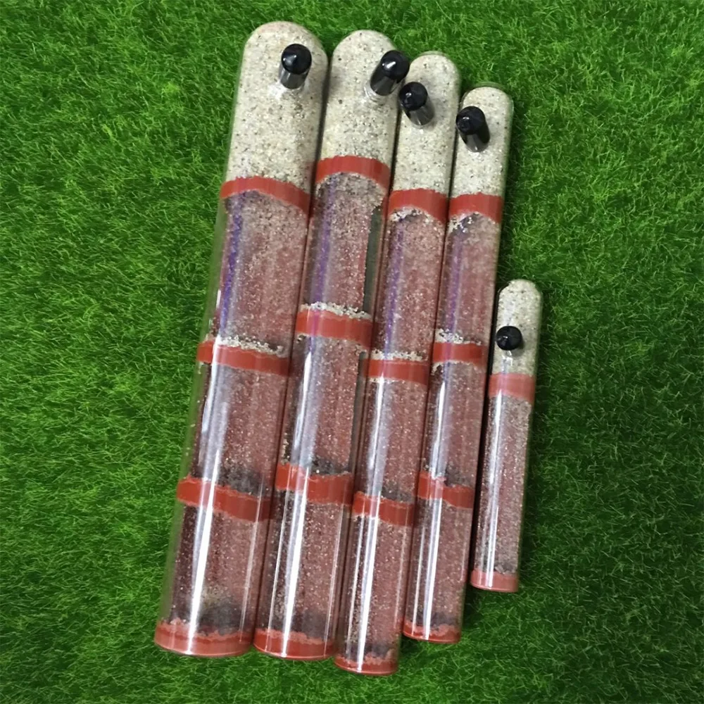 Various Sizes Ant Farm House Bamboo Test Tube Ant Nest Plaster Tube for Ant House Gypsum Pet Anthill Workshop Villa Queen Home thumbnail 2