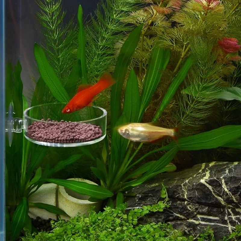 Mini Size Shrimp Feeding Dish Aquarium Fish Tank Reptiles Feeder Bowl with Suction Cup,Acrylic Material thumbnail 5
