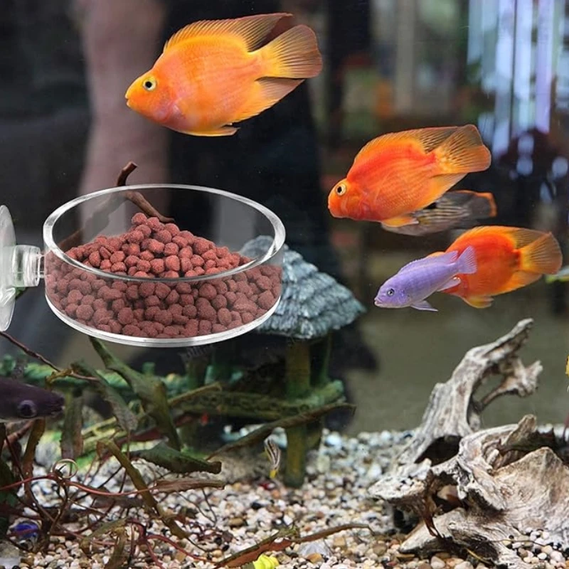 Mini Size Shrimp Feeding Dish Aquarium Fish Tank Reptiles Feeder Bowl with Suction Cup,Acrylic Material thumbnail 3