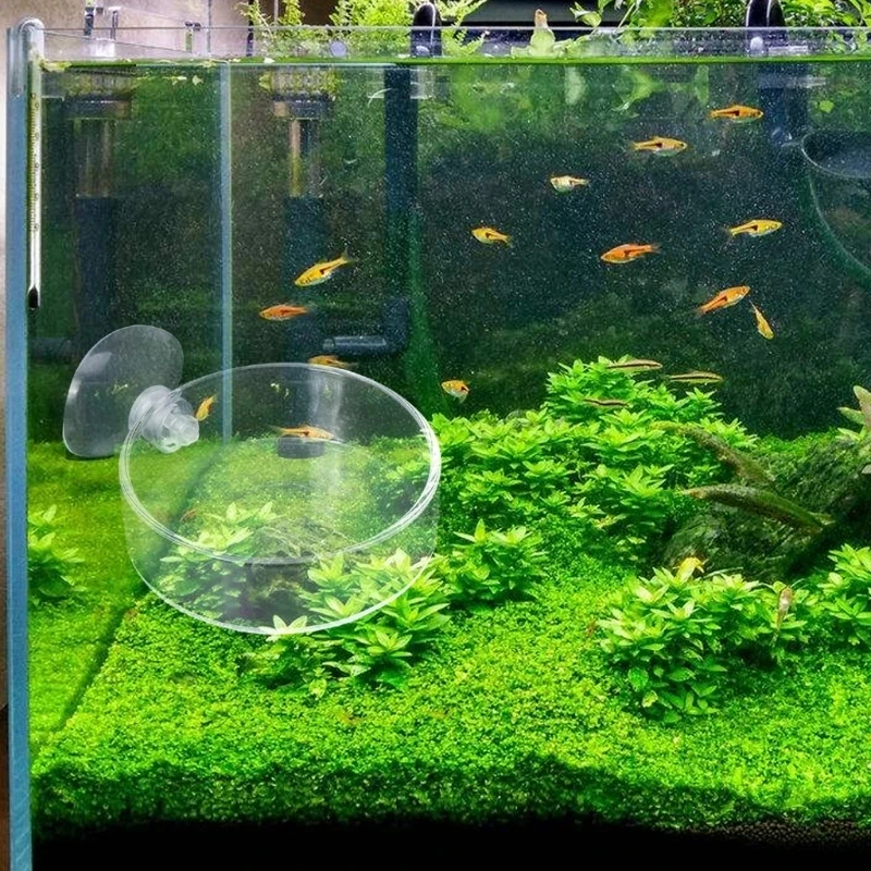Mini Size Shrimp Feeding Dish Aquarium Fish Tank Reptiles Feeder Bowl with Suction Cup,Acrylic Material thumbnail 2