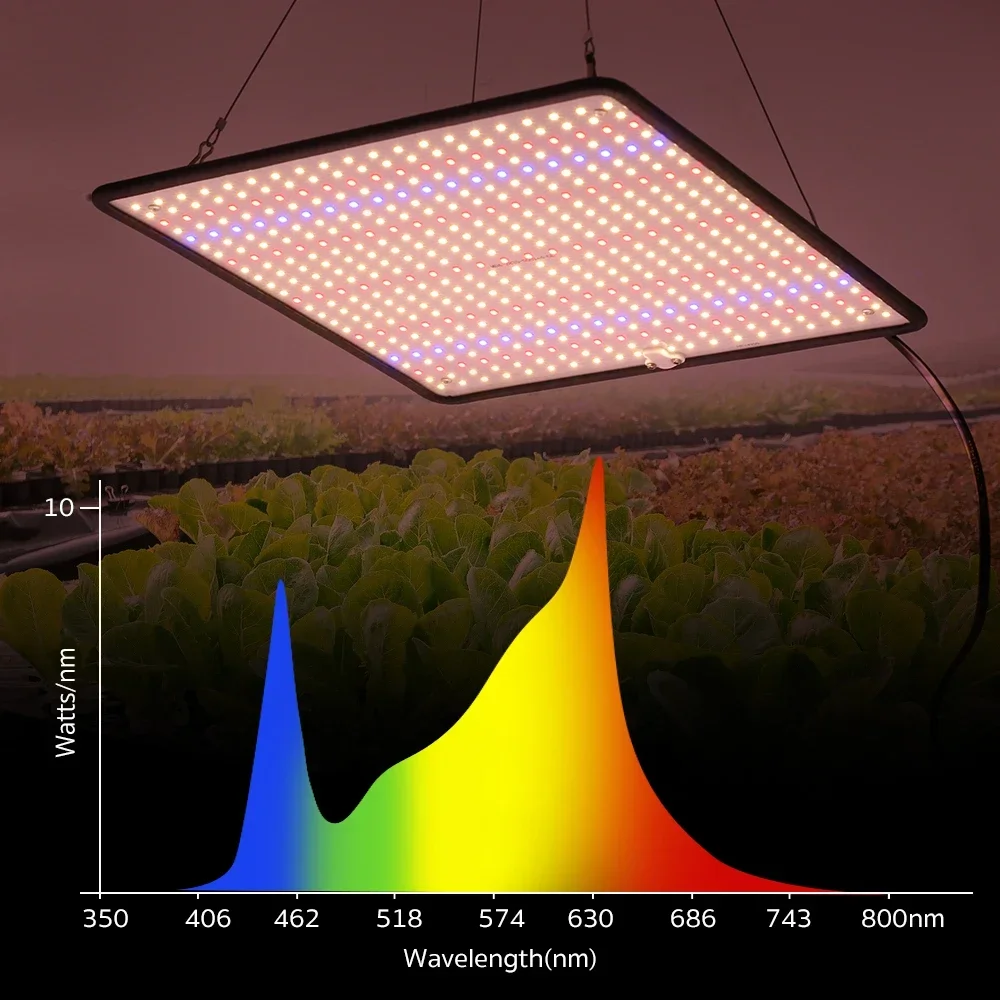 40W LED Grow Light Full Spectrum Phyto Lamp for Indoor Grow Tent Plants Growth AC85-240V Universal Voltage thumbnail 3