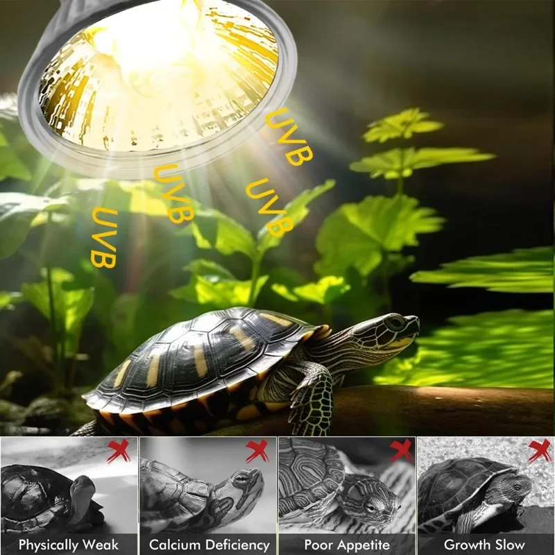 25/50/75W UVA UVB Reptile Lamp Bulb Turtle Basking UV Light Bulbs Heating Light Pet Heat Lamp Amphibians Full Sunlamp thumbnail 3