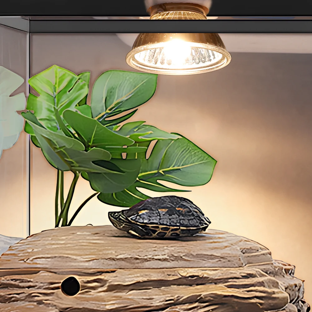 5/1PCS UVB Reptile Heating Lamp Bulb Turtle Basking Promoting Pet Growth Lamp High Quality Sunlamp for Amphibians 25/50/75W thumbnail 3