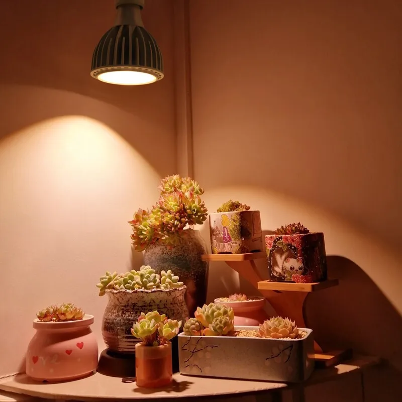 Full spectrum indoor plant growth lamp E27 interface plant lamp suitable for indoor plant planting and greenhouse cultivation thumbnail 4