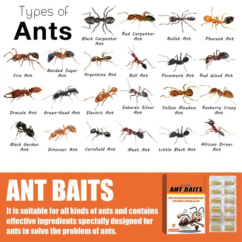 12pcs Ant Baits Pet Safe Multipurpose Household Bait Traps Safe Environmentally Ant Bait Attractant Ant Traps for Kitchen Garden thumbnail 2