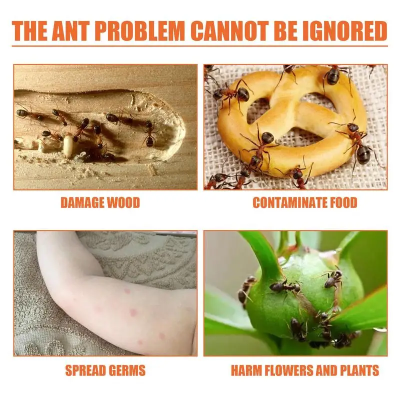 12pcs Ant Baits Pet Safe Multipurpose Household Bait Traps Safe Environmentally Ant Bait Attractant Ant Traps for Kitchen Garden thumbnail 5