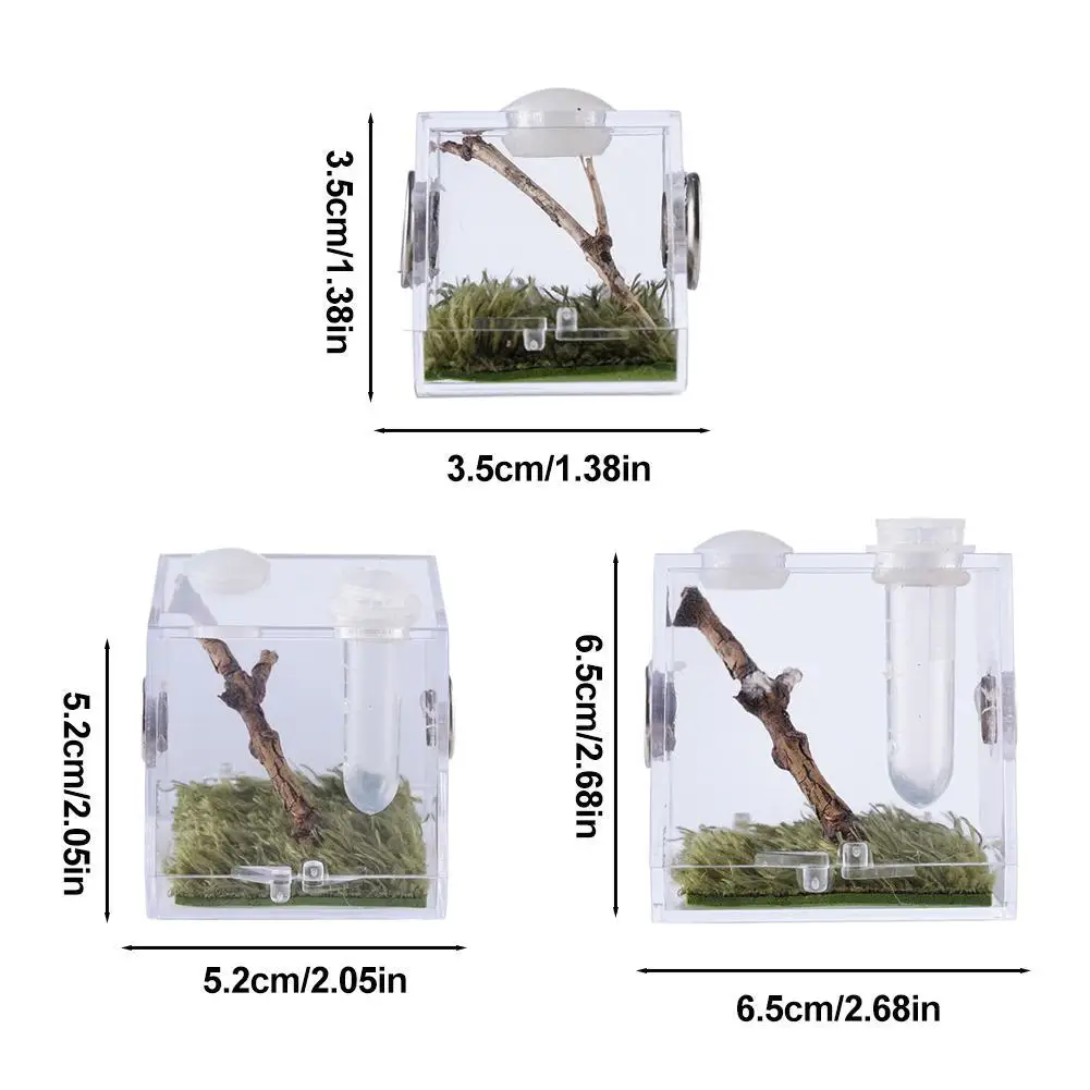Jumping Spider Feeding Box Transparent, Clear And Bright Acrylic Small Reptile Case For Pet Grasshopper, Cricket Breeding Box thumbnail 6