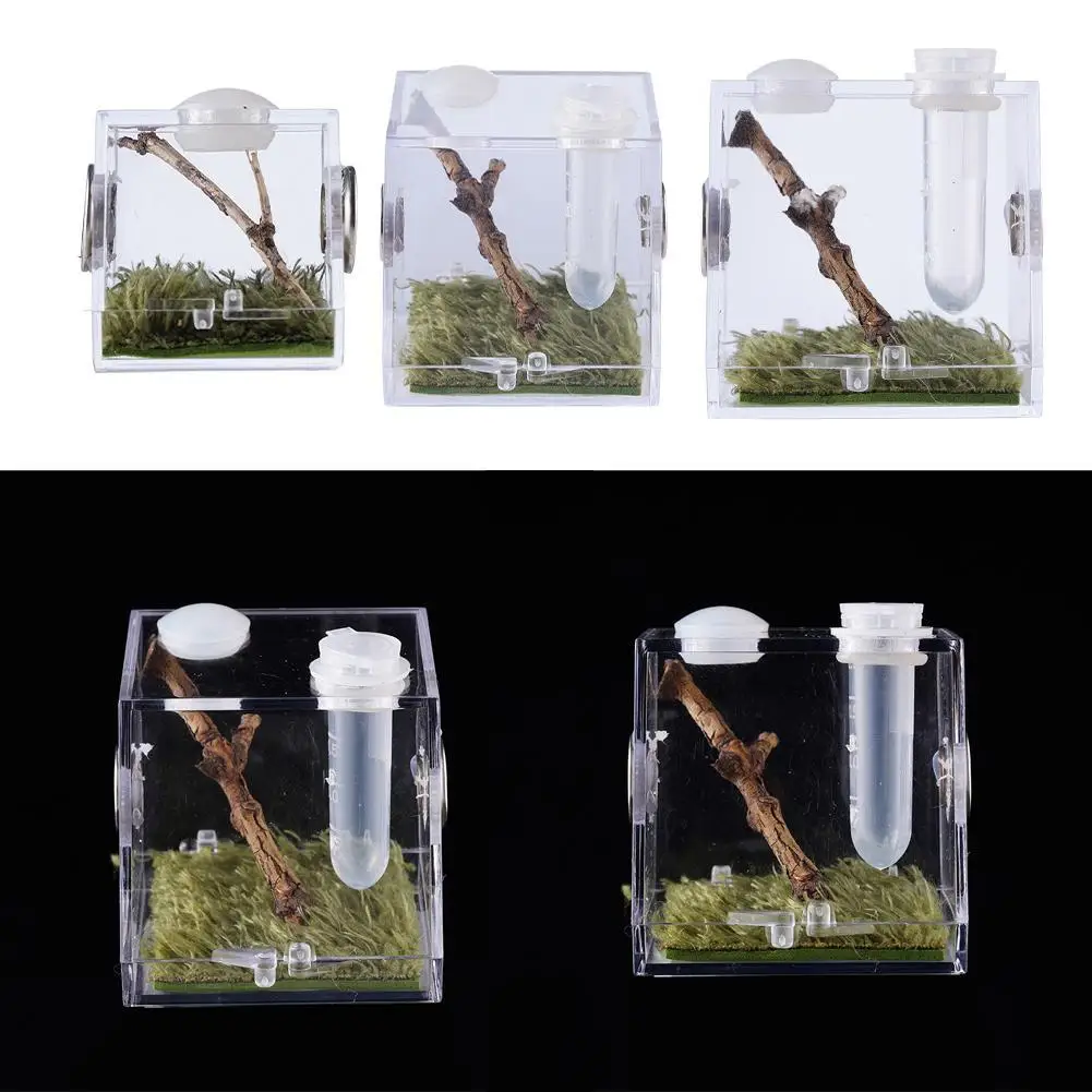 Jumping Spider Feeding Box Transparent, Clear And Bright Acrylic Small Reptile Case For Pet Grasshopper, Cricket Breeding Box