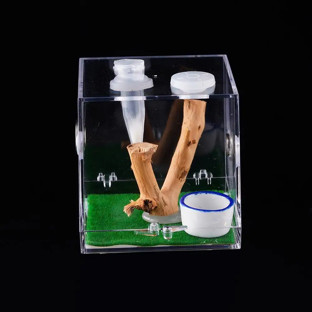 Jumping Spider Feeding Box Transparent, Clear And Bright Acrylic Small Reptile Case For Pet Grasshopper, Cricket Breeding Box thumbnail 3