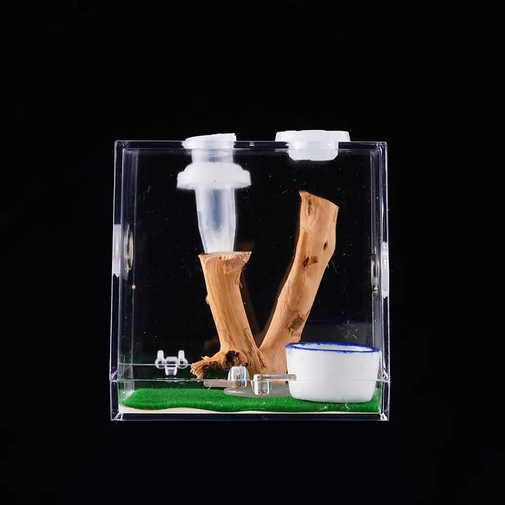 Jumping Spider Feeding Box Transparent, Clear And Bright Acrylic Small Reptile Case For Pet Grasshopper, Cricket Breeding Box thumbnail 2