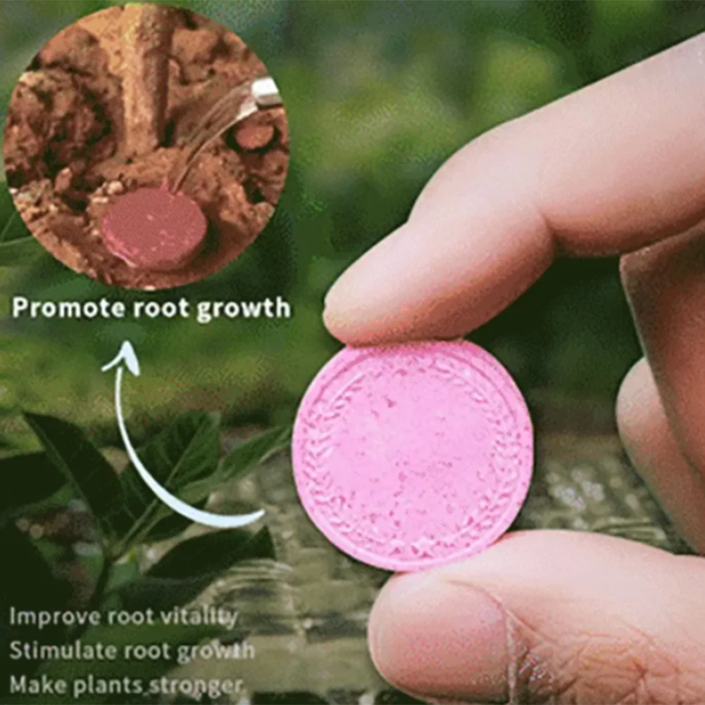 Household Gardening Organic Fertilizer Potted Succulent Organic Fertilizer Nutrient Slow Release for Foliage Plants Fruit Grow thumbnail 2
