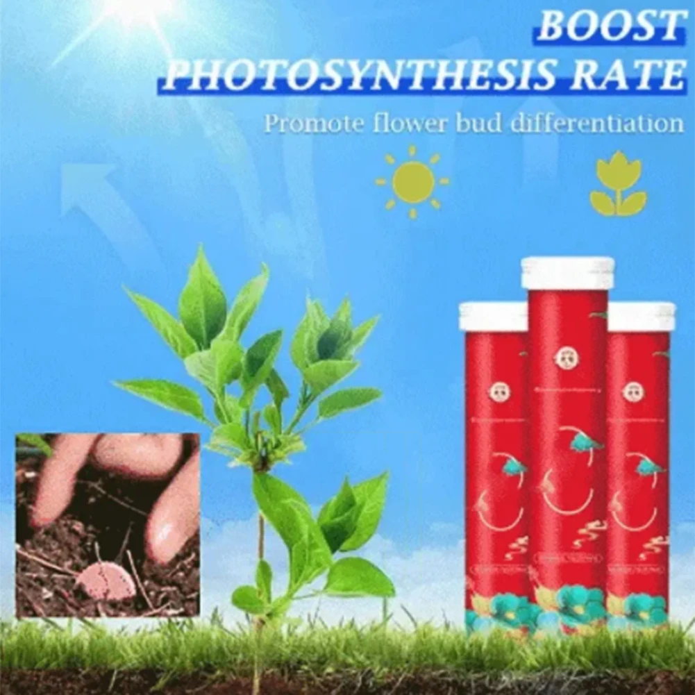 Household Gardening Organic Fertilizer Potted Succulent Organic Fertilizer Nutrient Slow Release for Foliage Plants Fruit Grow thumbnail 5