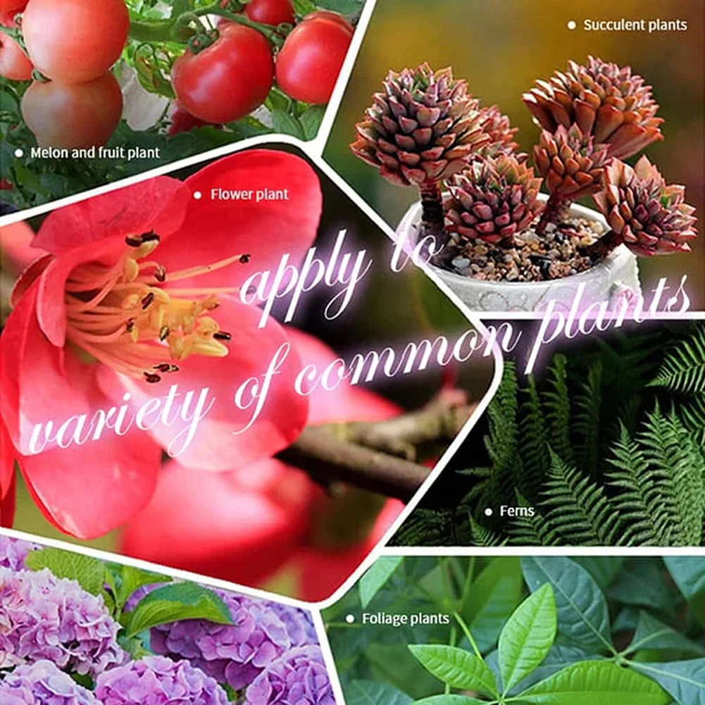 Household Gardening Organic Fertilizer Potted Succulent Organic Fertilizer Nutrient Slow Release for Foliage Plants Fruit Grow thumbnail 4