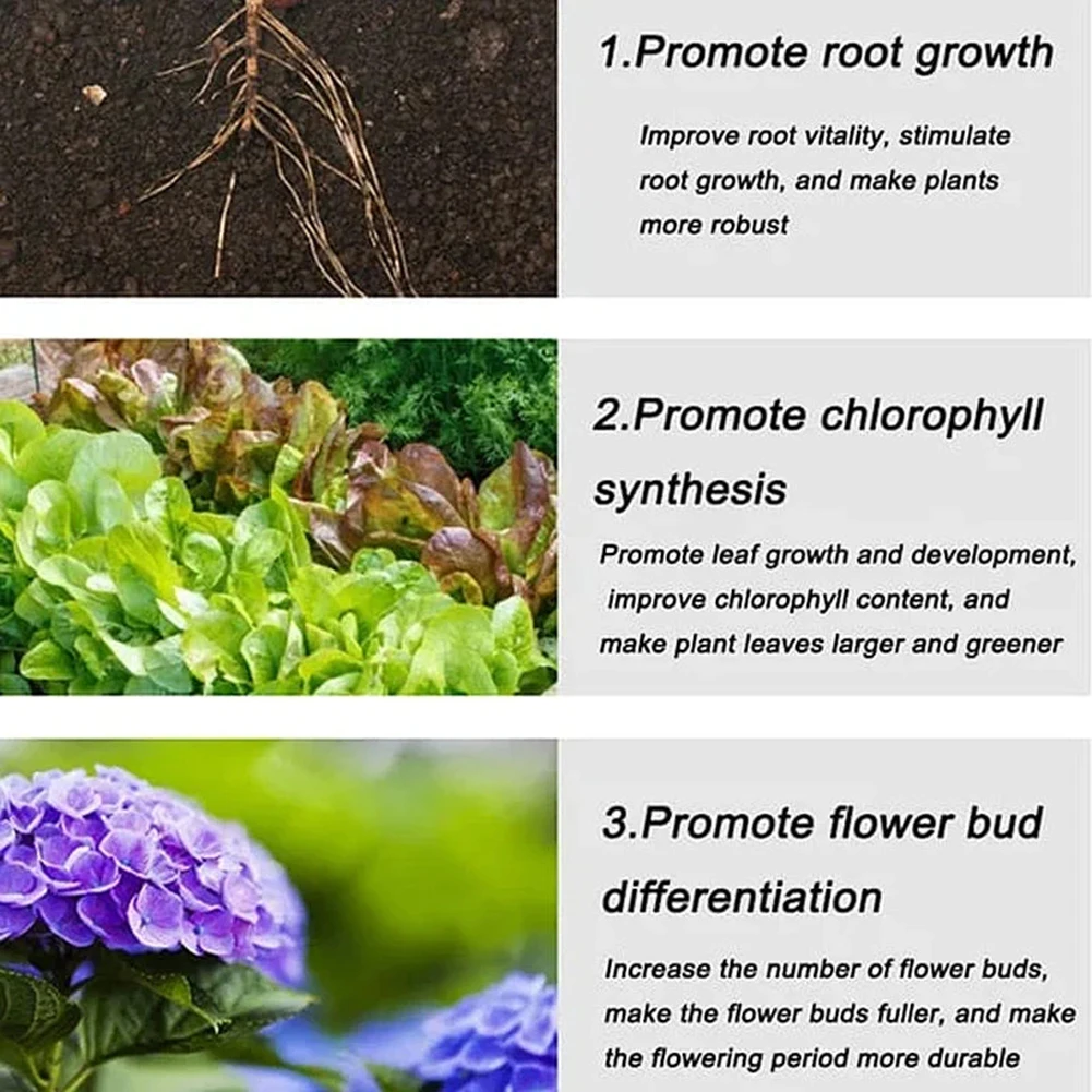 Household Gardening Organic Fertilizer Potted Succulent Organic Fertilizer Nutrient Slow Release for Foliage Plants Fruit Grow thumbnail 6
