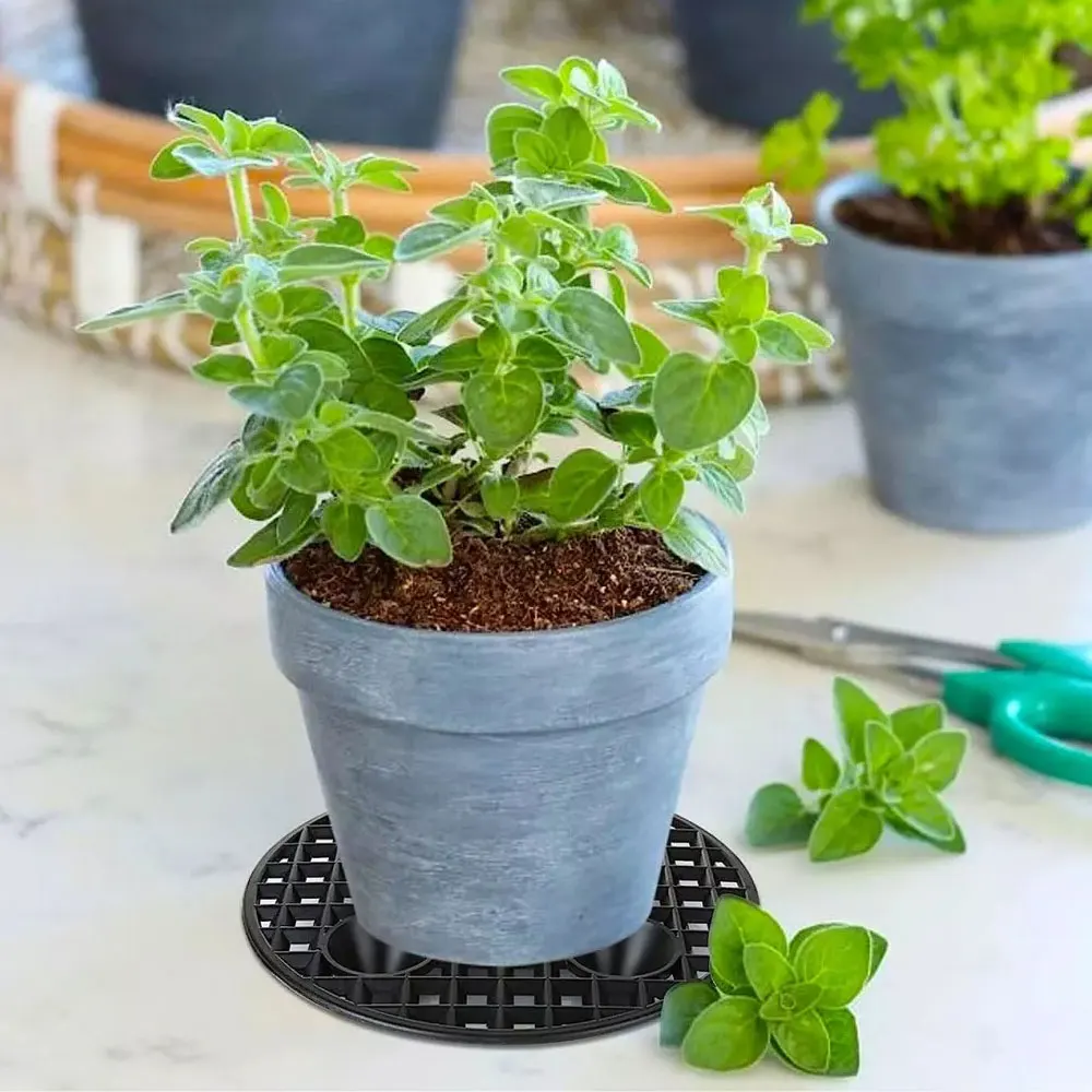 Plant Level Pot Elevator, Heavy Duty Plant Stand, 20/30cm Plant Pot Saucer thumbnail 5
