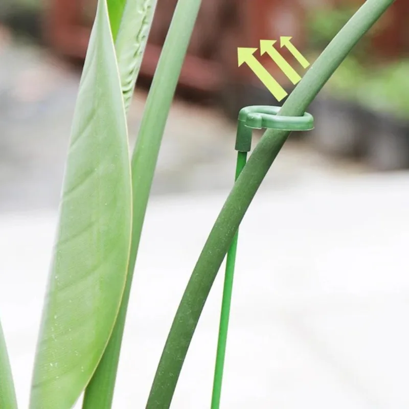 10pcs Potted Plant Support Racks Durable Floral Climbing Stands Home Garden Decor Gardening Tools thumbnail 3