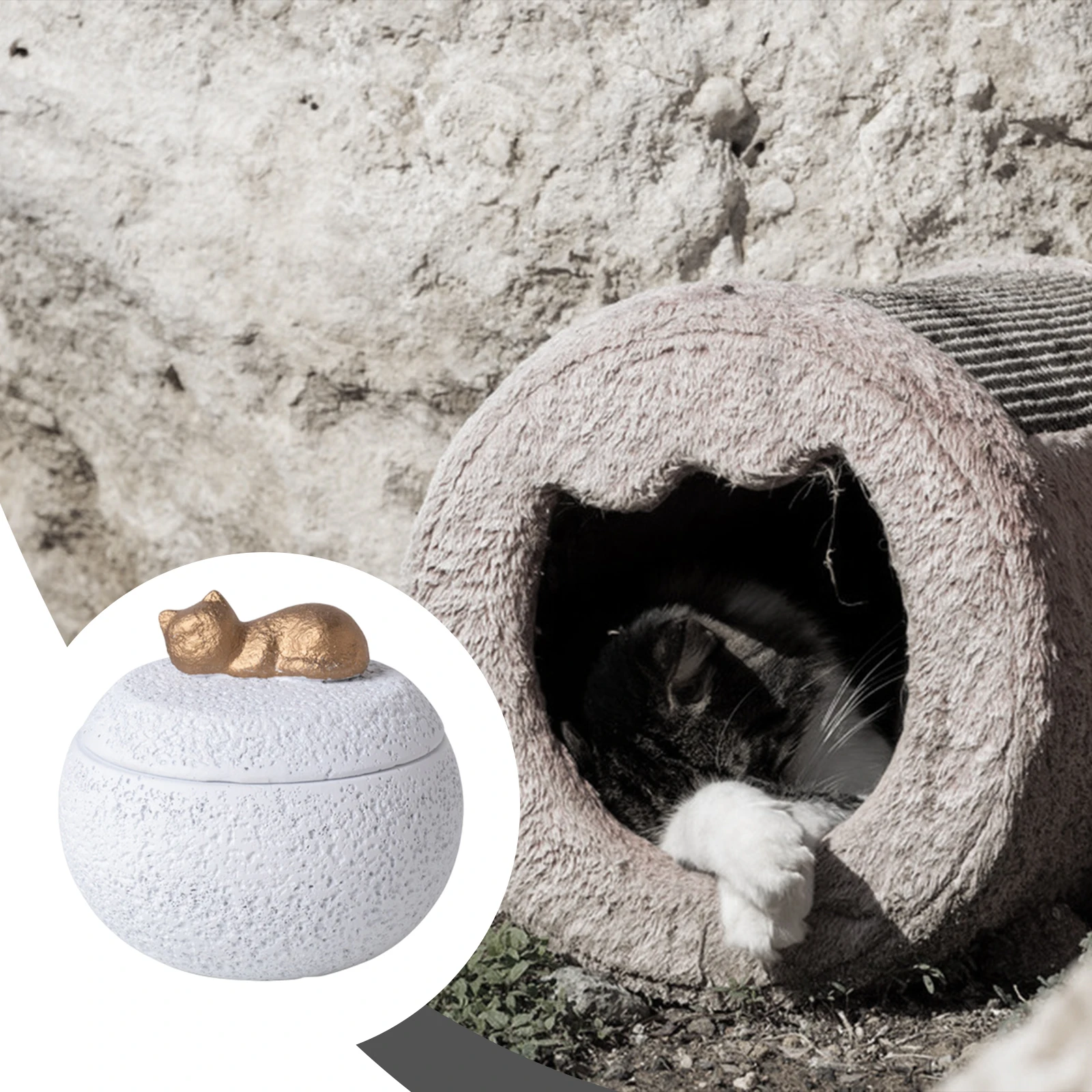 Pet Urn Cremation Memorial Urn Pets Supplies Keeping Precious Memories Urn Box for Burial Final Comforting Resting Place Funeral thumbnail 3