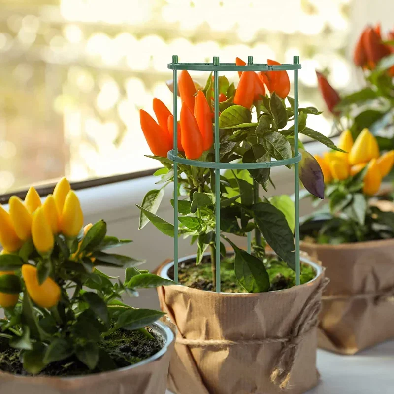 Plastic Plant Support Pile Stand Plant Support Pile for Flowers Greenhouses Arrangement Fixing Rod Holder Garden Tools thumbnail 2