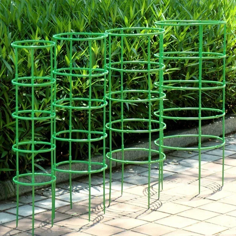 Plant Support Pile Half Round Climbing Vines Stake Bonsai Fixing Rod Garden Plant Stake Holder Flower Ring Support Rack thumbnail 4